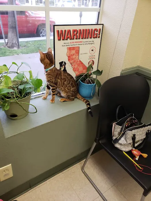 Veterinary Medical Center of Woodland Hills Picture 5