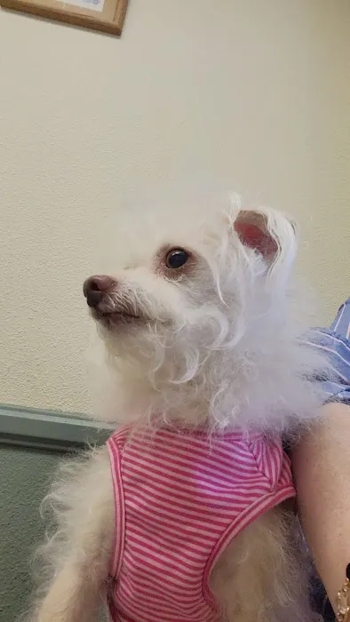 Veterinary Medical Center of Woodland Hills Picture 9