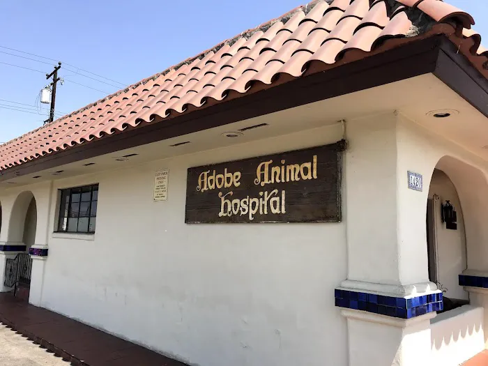 Adobe Animal Hospital Picture 8