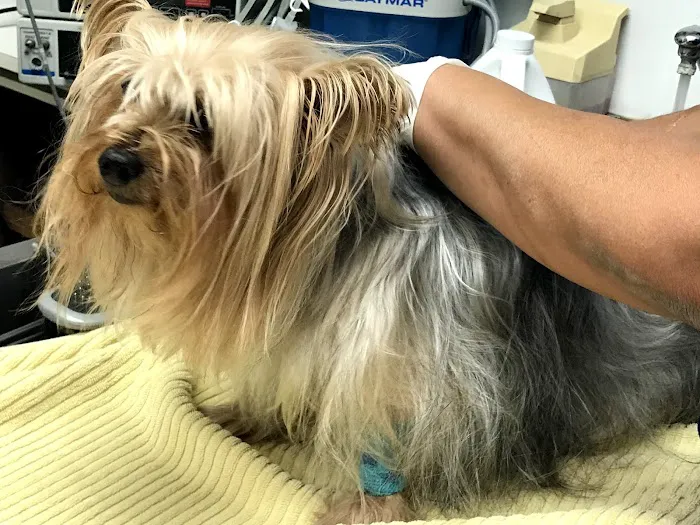 Adobe Animal Hospital Picture 10