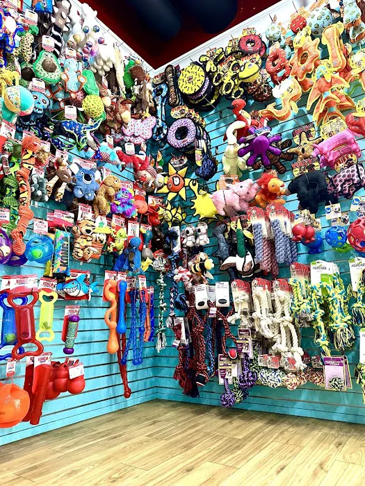 San Diego Paw Co. Picture 2
