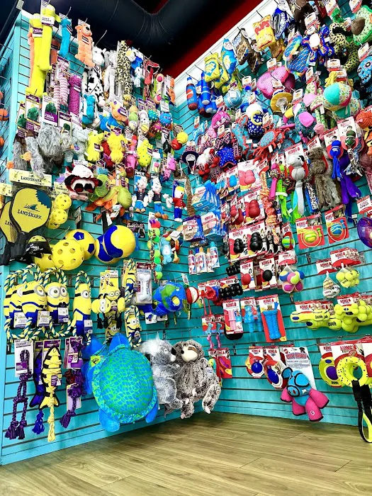 San Diego Paw Co. Picture 8