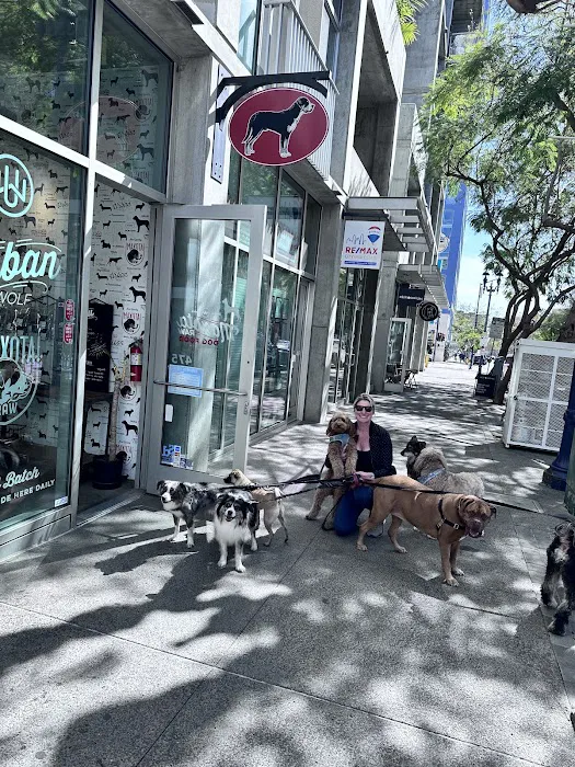 Urban Wolf Picture 9