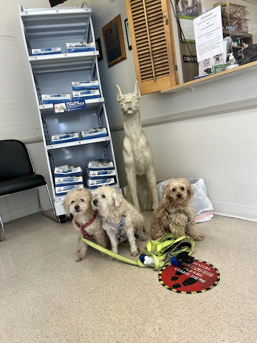 Oxnard Veterinary Hospital Picture 8