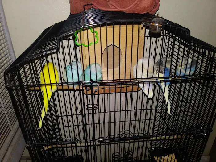 Arrieros Pet Shop Picture 5