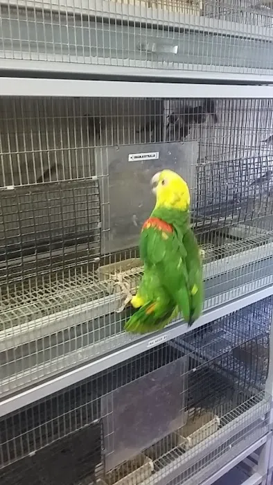 Arrieros Pet Shop Picture 4