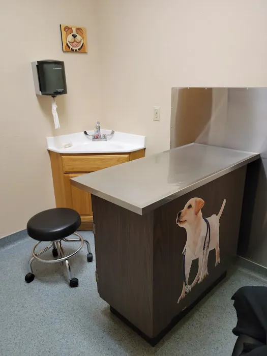 101 Pet Vet Picture 4