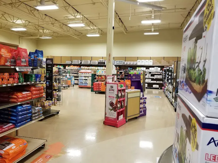 Petco Picture 3