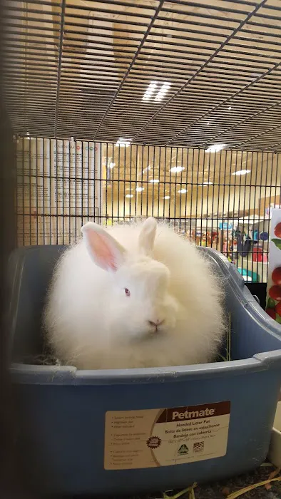 Petco Picture 4