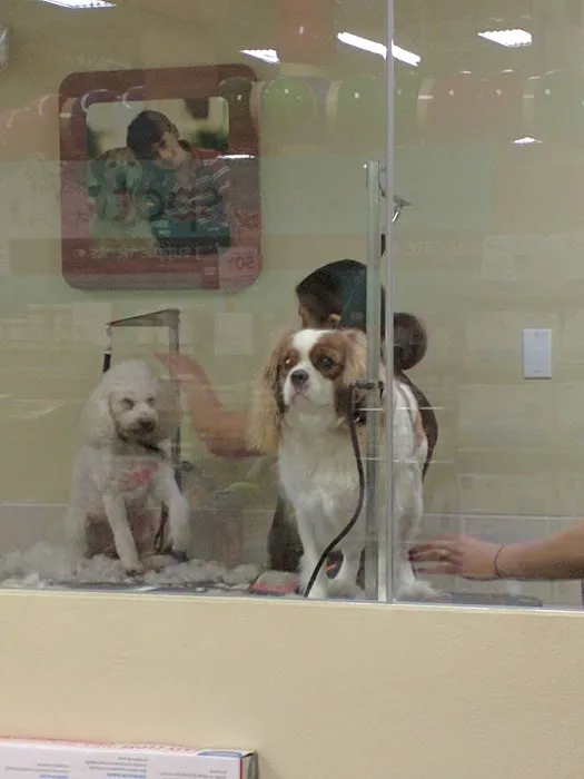 Petco Picture 1