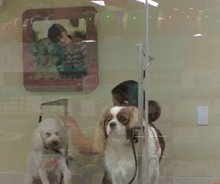 Petco
