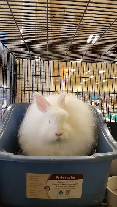 Petco Picture 7