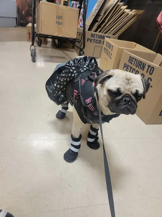 Petco Picture 5