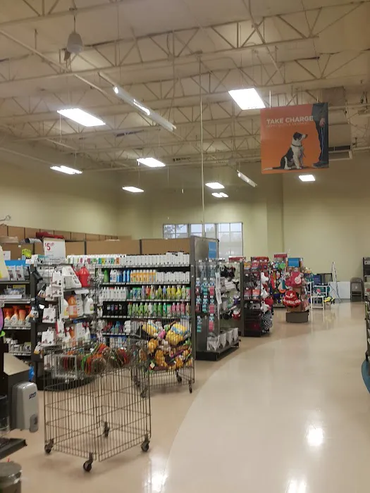 Petco Picture 8