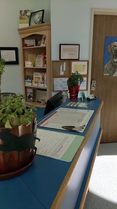 Marina Animal Hospital Picture 1