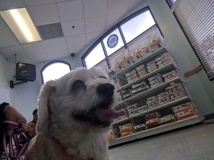 Marina Animal Hospital Picture 3