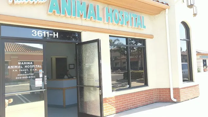 Marina Animal Hospital Picture 6