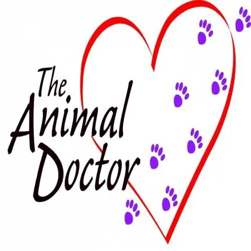 The Animal Doctor Picture 8