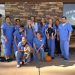 East Ventura Animal Hospital: Fowell J Elaine DVM
