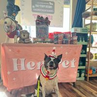 Hers Pet Shop ico