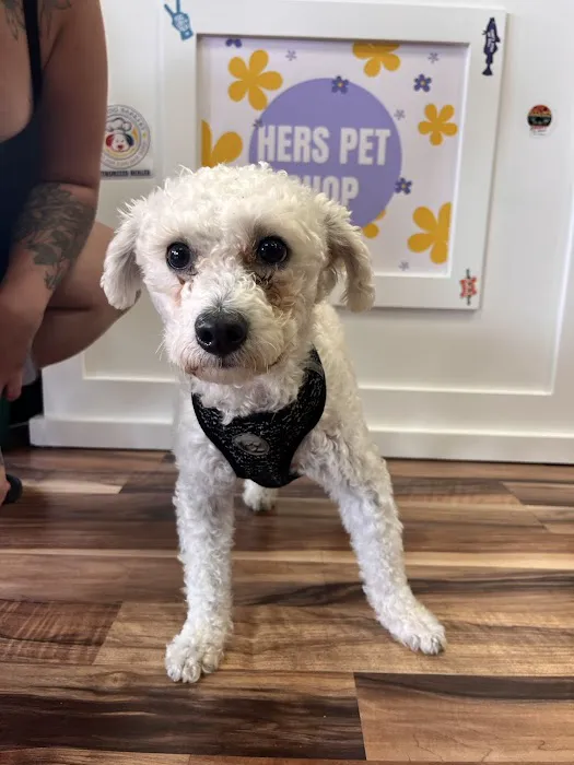 Hers Pet Shop Picture 2