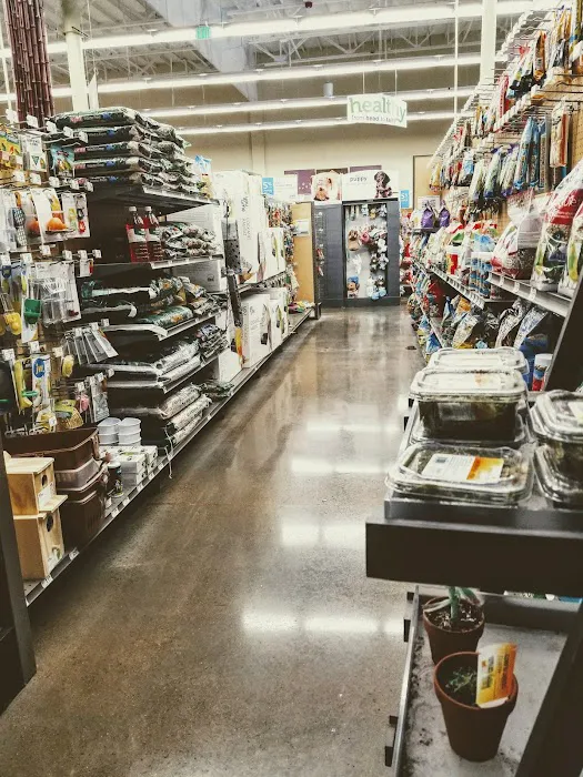 Petco Picture 2