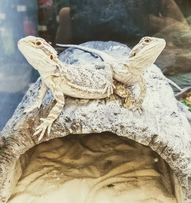 Petco Picture 1