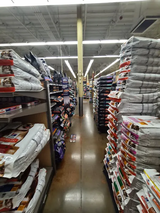 Petco Picture 9