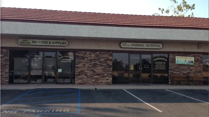 East Ventura Animal Hospital Picture 7