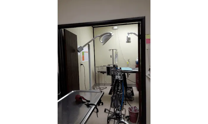 East Ventura Animal Hospital Picture 10