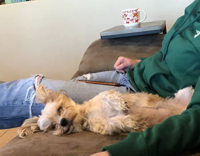 Horizon Veterinary Specialists Picture 10