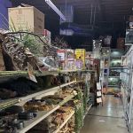 Reef and Reptile Company