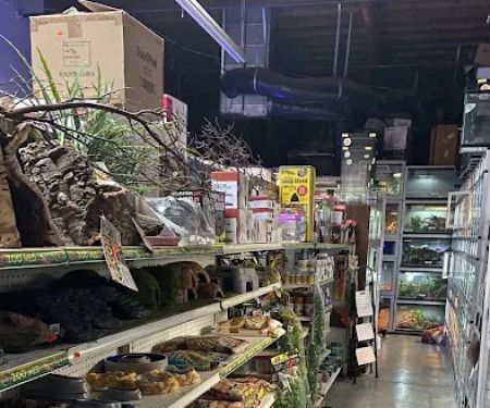 Reef and Reptile Company