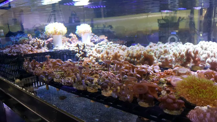 Reef and Reptile Company Picture 9