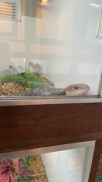 Reef and Reptile Company Picture 6