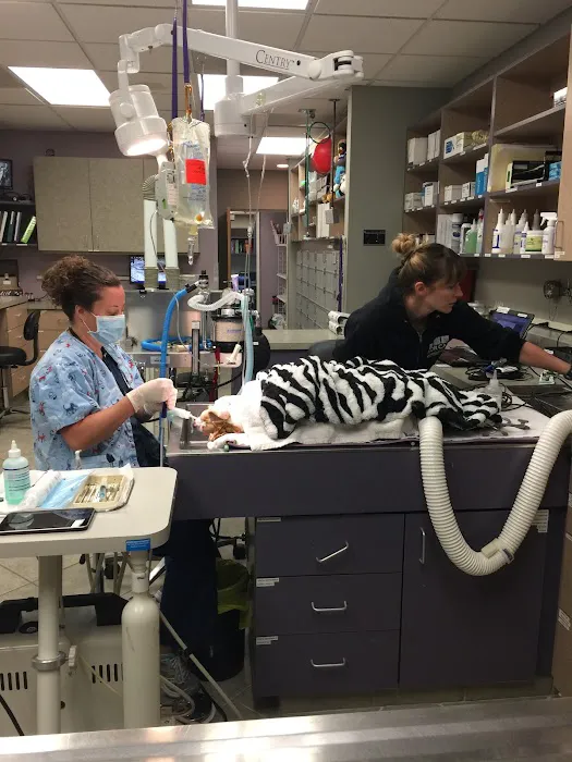 Yosemite Pet Hospital Picture 5