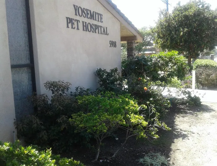 Yosemite Pet Hospital Picture 4