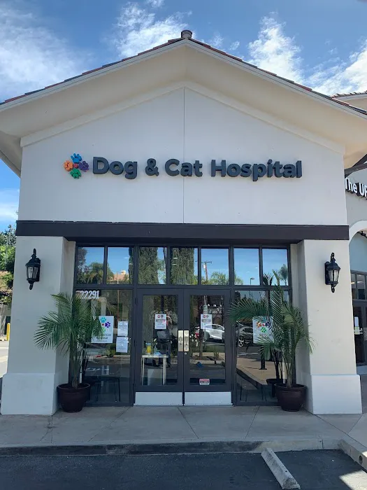 Dog and Cat Hospital Calabasas Picture 10