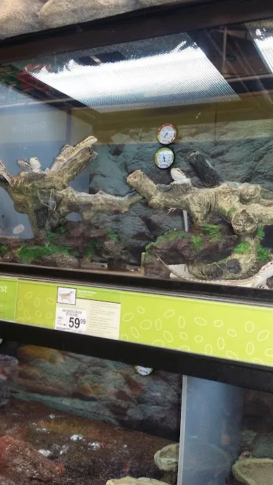 Petco Picture 2