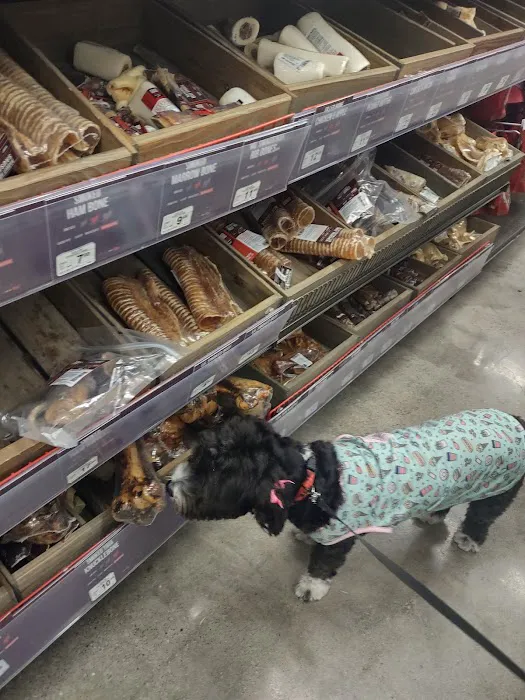 Petco Picture 4
