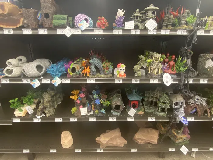 Petco Picture 9
