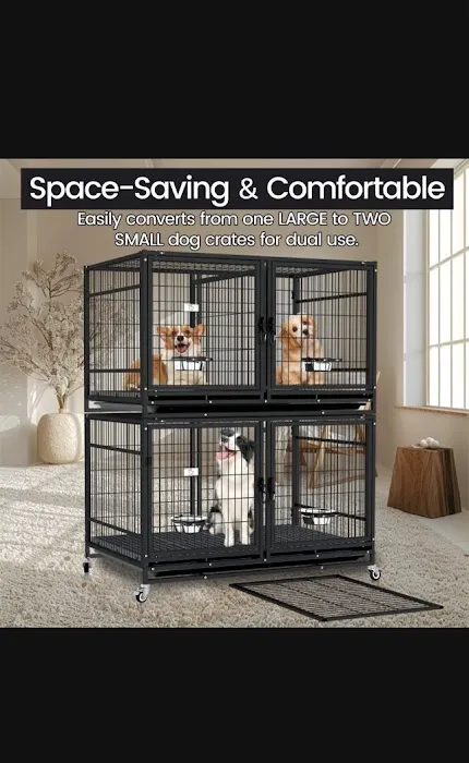 Seaside Pet Shop Picture 7