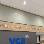 VCA Veterinary Specialists of the Valley