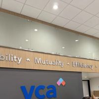 VCA Veterinary Specialists of the Valley ico