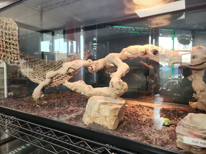 San Diego Reptile Co. Picture 1