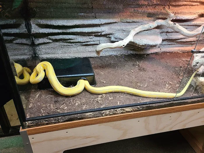San Diego Reptile Co. Picture 6