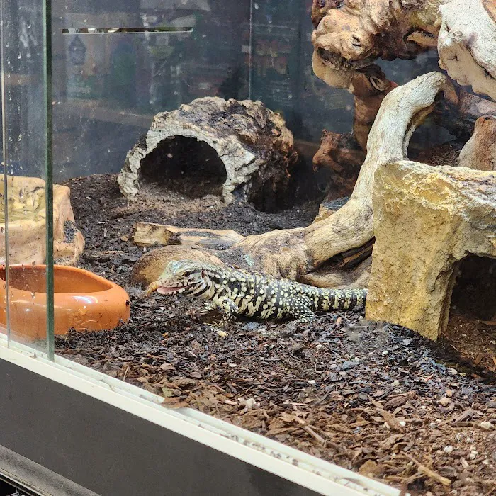 San Diego Reptile Co. Picture 8