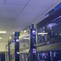 Art’s Underwater Reef ico