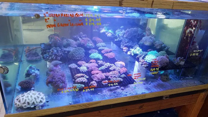 Tropical Fish Incorporated Picture 1