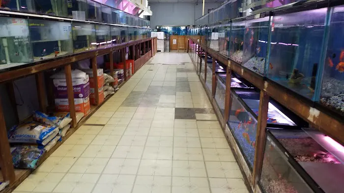 Tropical Fish Incorporated Picture 2